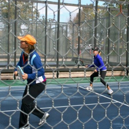 Galvanized-Hexagonal-wire-for-Paddle-Tennis-court_副本